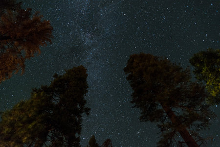 Scenic night sky over a campground in Yosemite National Park, USA