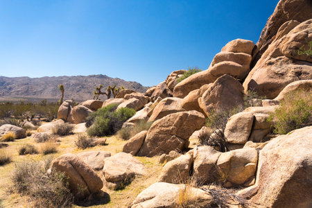 Great desert landscape in Joshua Tree National Park, United Statesの写真素材
