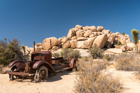 Old antique car wrecks from the old gold rush time in Joshua Tree National Park, USAの写真素材