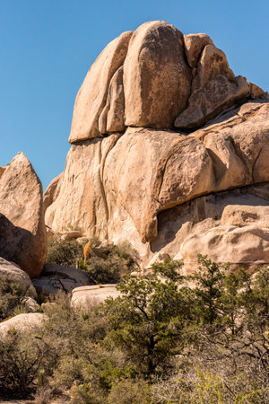 An abandoned old gold mine in the Joshua Tree National Park, USAの写真素材