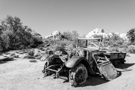 Old antique car wrecks from the old gold rush time in Joshua Tree National Park, USAの写真素材