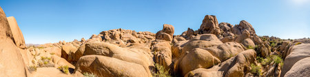 Scenic arid landscape in the Joshua Tree National Park, USAの写真素材