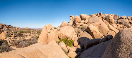 Scenic arid landscape in the Joshua Tree National Park, USAの写真素材