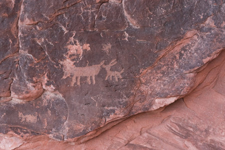 Historic petroglyphs from native Americans on Atlatl Rock in the Valley of Fire, USAの写真素材