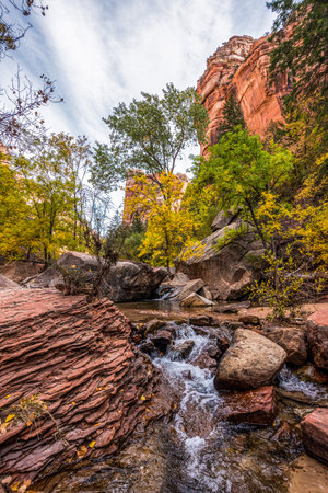 Hiking the Left Fork Trail to the Subway gorge, Zion National Park, USAの写真素材