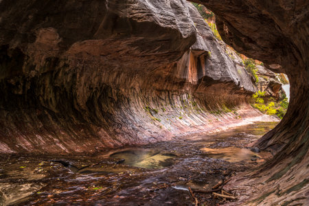 Magnificent Subway gorge landmark in the Zion National Park in Utah, USAの写真素材