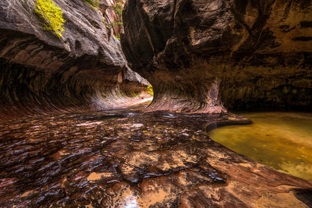 Magnificent Subway gorge landmark in the Zion National Park in Utah, USAの写真素材