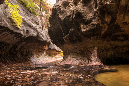 Magnificent Subway gorge landmark in the Zion National Park in Utah, USAの写真素材