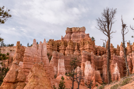 Scenic rocks from the Navajo Loop Trail leading through Bryce Canyon, USAの写真素材
