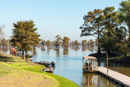 Scenic view of the Bayous in Louisiana, USAの写真素材