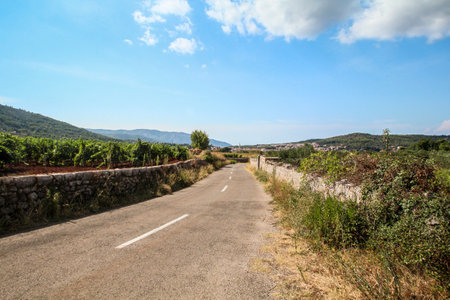 Famous historic agricultural Greek plain at Stari Grad on Hvar island, Croatiaの写真素材