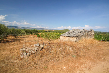 Famous historic agricultural Greek plain at Stari Grad on Hvar island, Croatiaの写真素材