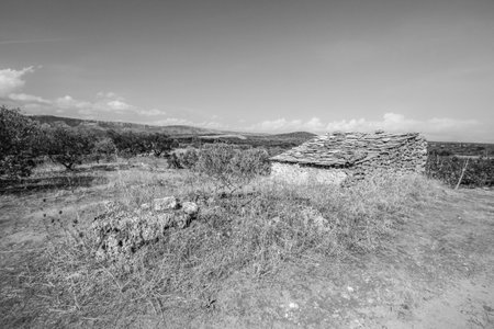 Famous historic agricultural Greek plain at Stari Grad on Hvar island, Croatiaの写真素材