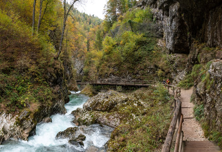 Scenic wild river flowing through the Vintgar gorge, Sloveniaの写真素材