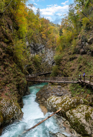 Scenic wild river flowing through the Vintgar gorge, Sloveniaの写真素材
