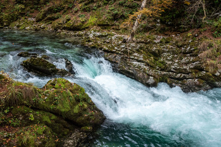 Scenic wild river flowing through the Vintgar gorge, Sloveniaの写真素材