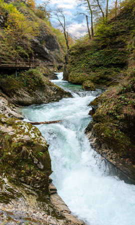 Scenic wild river flowing through the Vintgar gorge, Sloveniaの写真素材