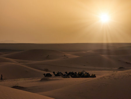 A caravan of dromedaries passing the Sahara desert in the evening, Erg Chebbi in Moroccoの写真素材
