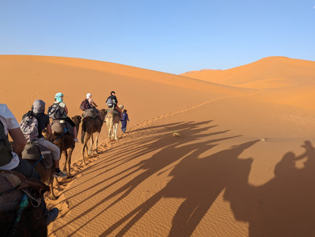 A caravan of dromedaries passing the Sahara desert in the evening, Erg Chebbi in Moroccoのeditorial素材