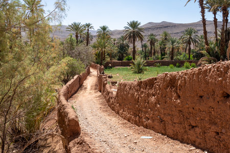 An empty road in the palm grove of Draa valley, Moroccoの写真素材