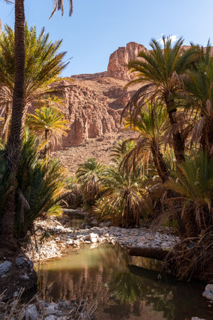 Magnificent oasis in the Ait Mansour gorge in the Anti-Atlas mountains, Moroccoの写真素材