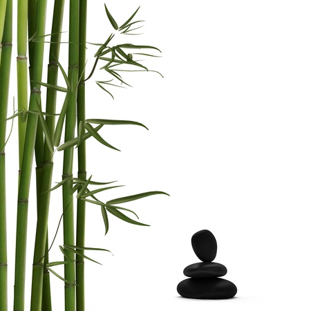 Bamboo with lavaの写真素材
