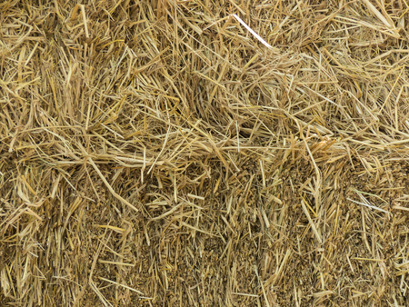 Yellow Straw pileの写真素材