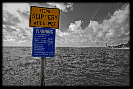 keep an eye in key westの写真素材