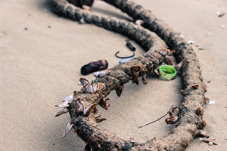 rope that washed up on a beach in Hawaii.の写真素材