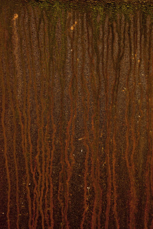View of a rusty iron sheet