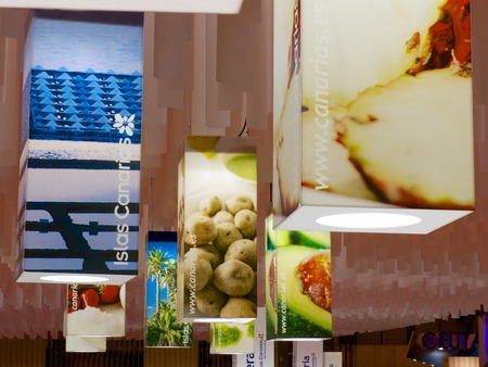Canary Islands Stand - FITUR 2013のeditorial素材