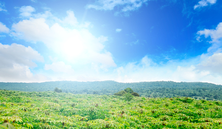 Mountain with sky.Green forest.Center focus.The sky has sunshineの写真素材