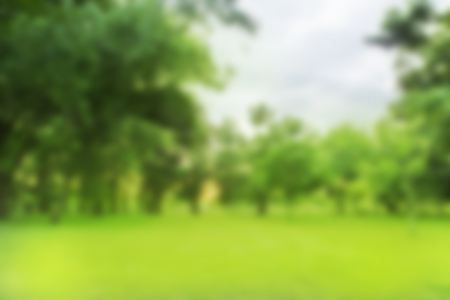 Blurred photo Beautiful meadow in the park with morning sky.の写真素材