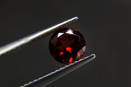 Red Garnet.Dark red gemstone.Beautiful round shape gem.stone in tweezers.Focus on the center of the...