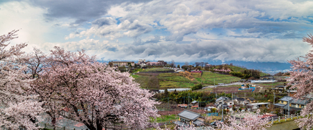 A spring panorama of Katsunuma in Yamanashi, Japan. With Cherry blossoms and green field. Taken near Katsunuma Station.の写真素材