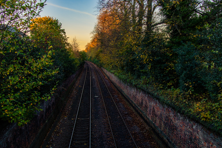 An empty railway lined with trees.の写真素材