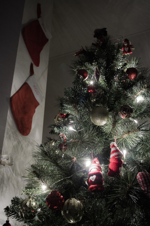 A Christmas Tree lit up in a small house, with stockings on the walls.の写真素材