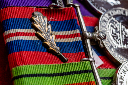 Lincoln, United Kingdom - 08/14/2018: The British Oak Leaf, rewarded for being mentioned in dispatches for gallant or meritorious action.のeditorial素材