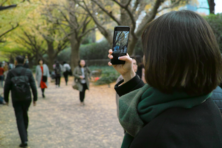 A young woman taking pictures of Autumn leaves on her smartphone for social mediaの写真素材