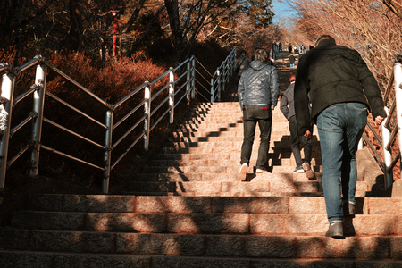 Yamanashi, Japan - 01/05/2019: People walking up and down the steps that lead to Chureito Pagoda in Yamanashi, Japanのeditorial素材