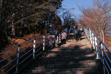 Yamanashi, Japan - 01/05/2019: People walking up and down the steps that lead to Chureito Pagoda in Yamanashi, Japanのeditorial素材