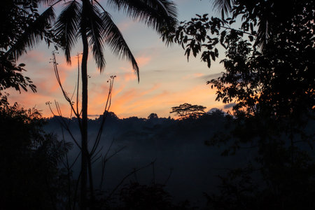 A beautiful misty sunrise over a tropical forest