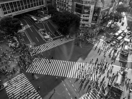 Shibuya, Japan - 23 9 19: People Crossing Shibuya Crossing in the evening with the full crossing in...