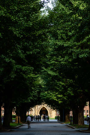 Tokyo, Japan - 9 8 19: The entrance leading up to the distinguished Tokyo Universityのeditorial素材
