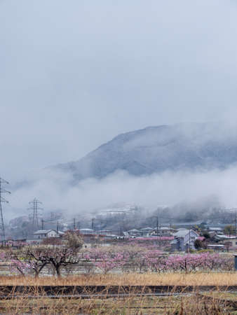 Frosty scenery in the Japanese countryside in Winterの写真素材
