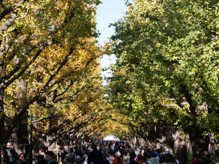 Tokyo, Japan - 29.11.19: People waking through the tunnel of trees at Meiji Jinguのeditorial素材