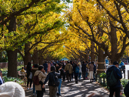 Tokyo, Japan - 29.11.19: People waking through the tunnel of trees at Meiji Jinguのeditorial素材