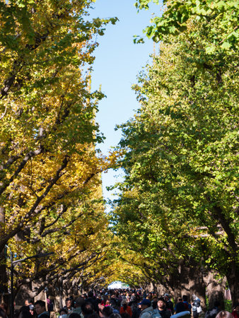 Tokyo, Japan - 29.11.19: People waking through the tunnel of trees at Meiji Jinguのeditorial素材