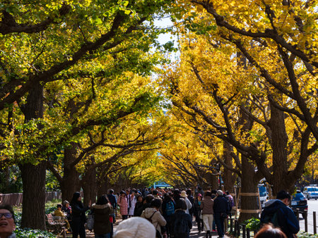 Tokyo, Japan - 29.11.19: People waking through the tunnel of trees at Meiji Jinguのeditorial素材