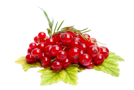 Fresh red currant isolated on white background の写真素材